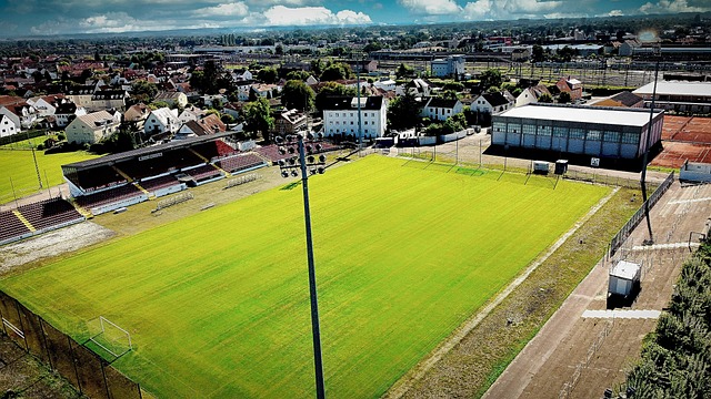 价他的踢球 价他的踢球