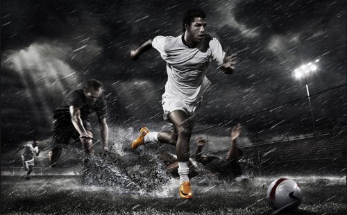 的天赋和努 的天赋和努